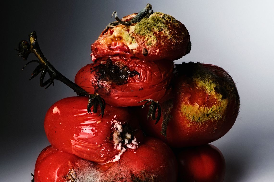 The Decomposition of Rotten Tomatoes