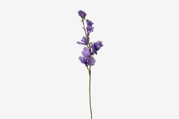 Terrain Faux-Sweet Pea Spray