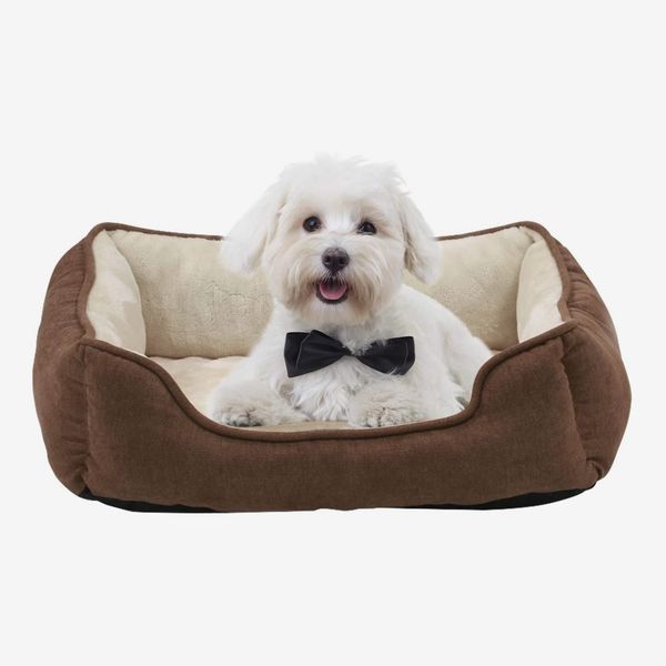 cheap dog beds canada