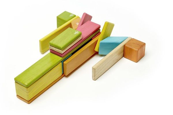 14-Piece Tegu Magnetic Wooden Block Set