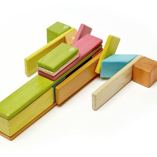 14-Piece Tegu Magnetic Wooden Block Set