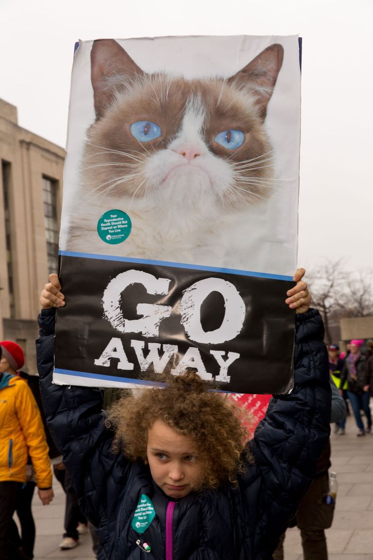 Photos: 46 Signs From the Women’s March on Washington