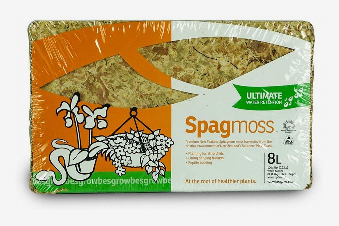 besgrow gedroogde Nieuw-Zeelandse Sphagnummos (100 gram)