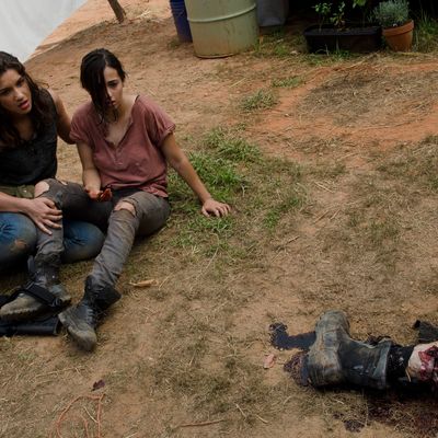 Alisha (Juliana Harkavay) and Tara (Alana Masterson) - The Walking Dead 