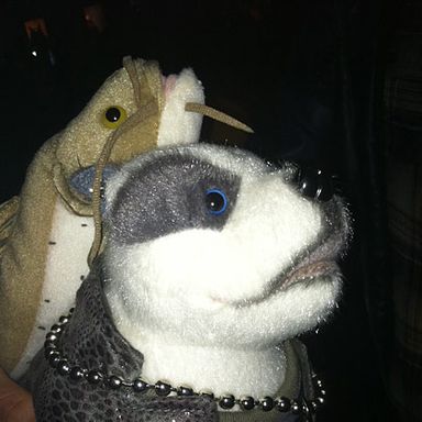 Best Schwag (that has nothing to do with the show it’s promoting): From my NTSF:SD:SUV:: Premiere Party, a catfish humping a stuffed pitbull.