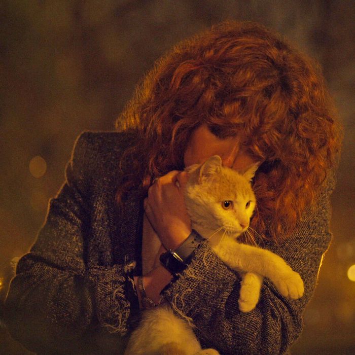 Russian Doll: How Oatmeal the Cat Went 