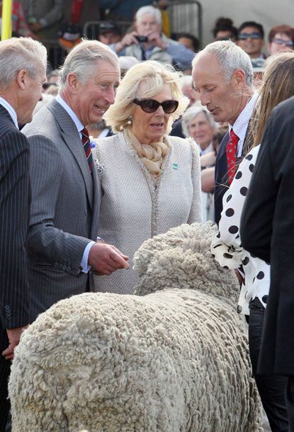 Prince Charles and Camilla show off their dance moves