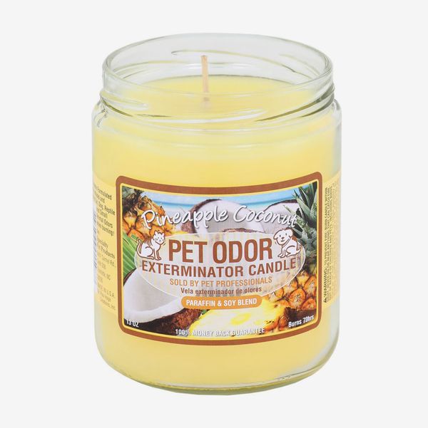 Pet Odor Exterminator Candle, Pineapple Coconut, Pack of 2 