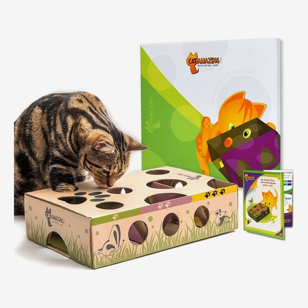 Cat Amazing Interactive Treat Maze & Puzzle Cat Toy