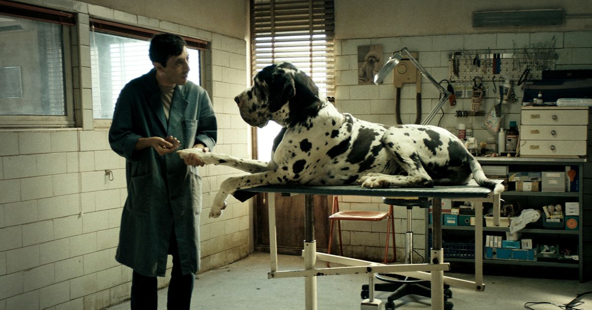 Movie Review ‘Dogman’ (2019)