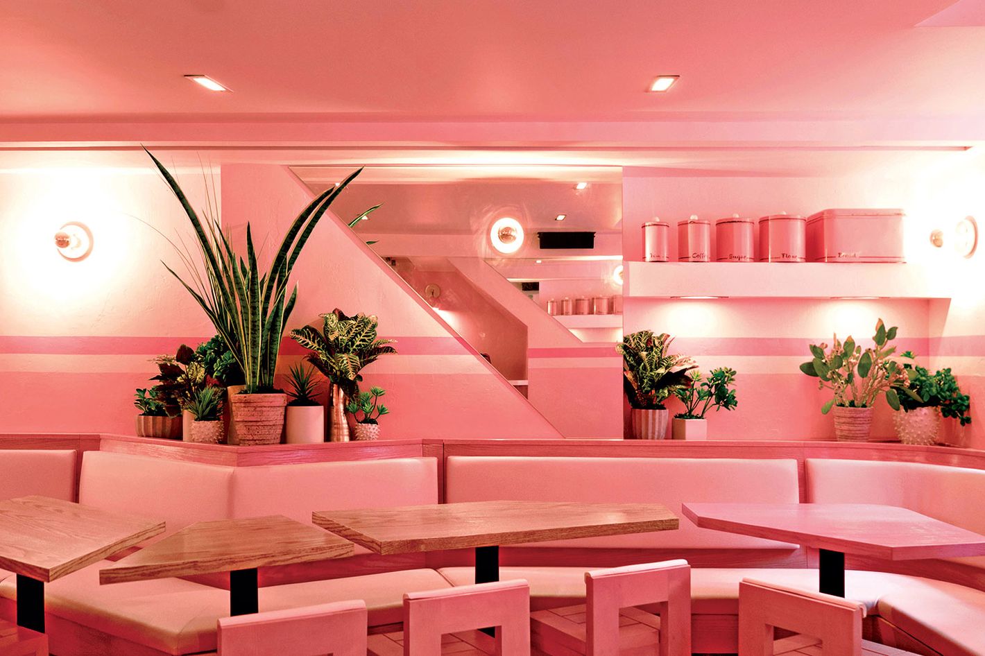 Millennial Pink, the ultimate trend color, literally depopulated as an  aesthetic trend - Officine DASA