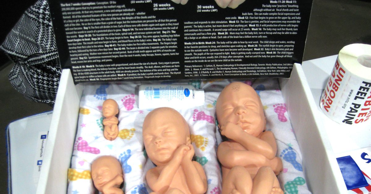 fetus dolls for sale