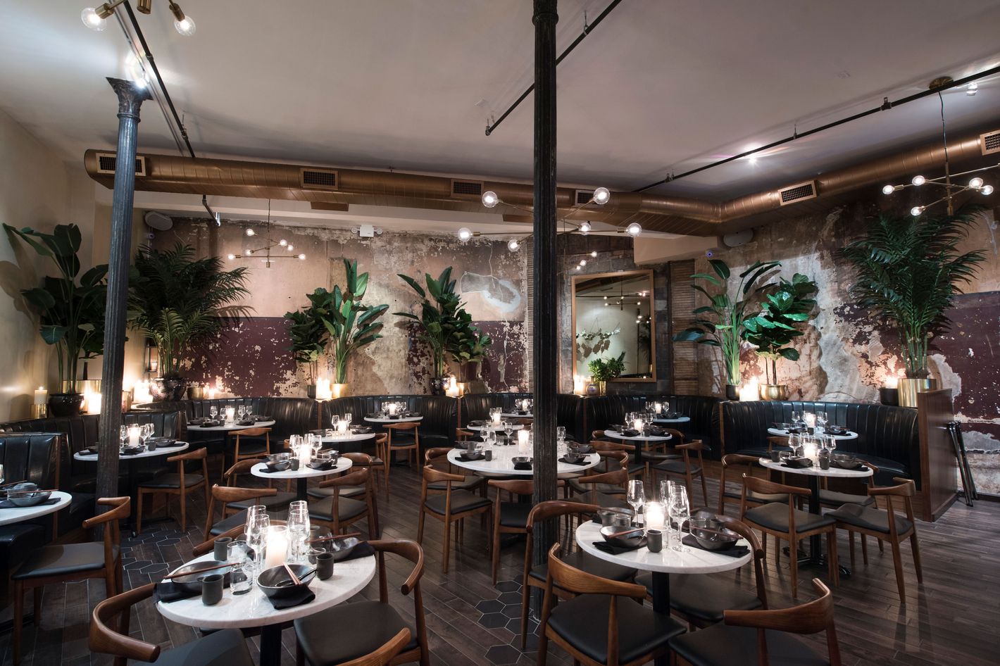 Chinese Tuxedo Opens in NYC