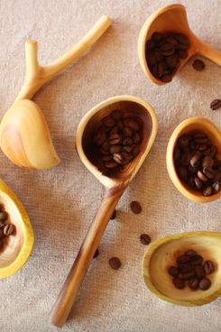 Uguisu Store Branch Coffee Spoons