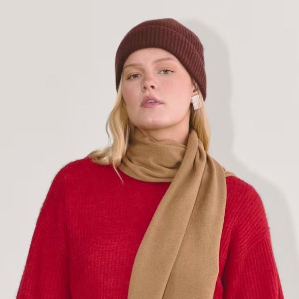 Everlane The Cashmere Scarf