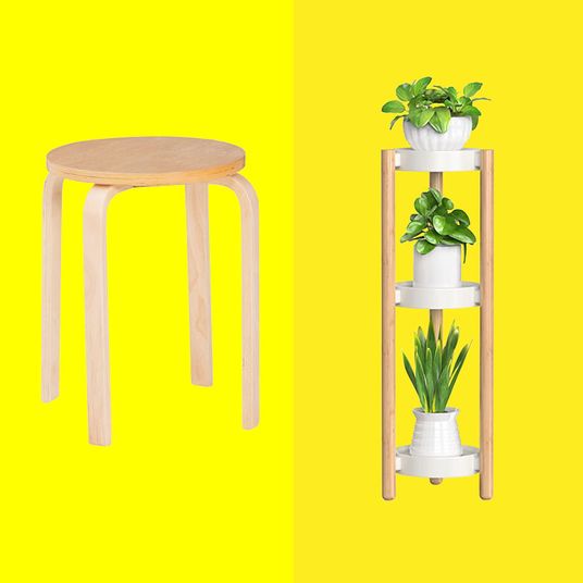 35 Best Indoor Plants on Amazon 2023 Fiddle Leaf and More The Strategist