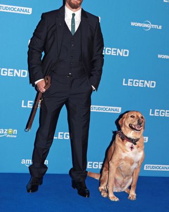 Tom Hardy and Woody.