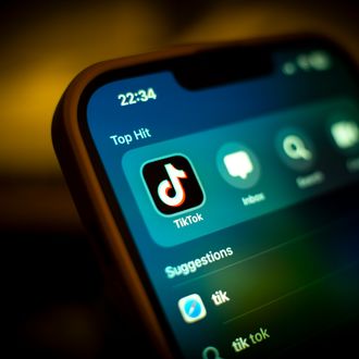 TikTok Maker Bytedance Says It Will Fight US Ban