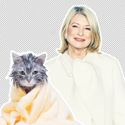 Martha stewart 2024 cat perch