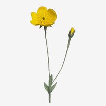 Emmeli Kimhi Paper Buttercups