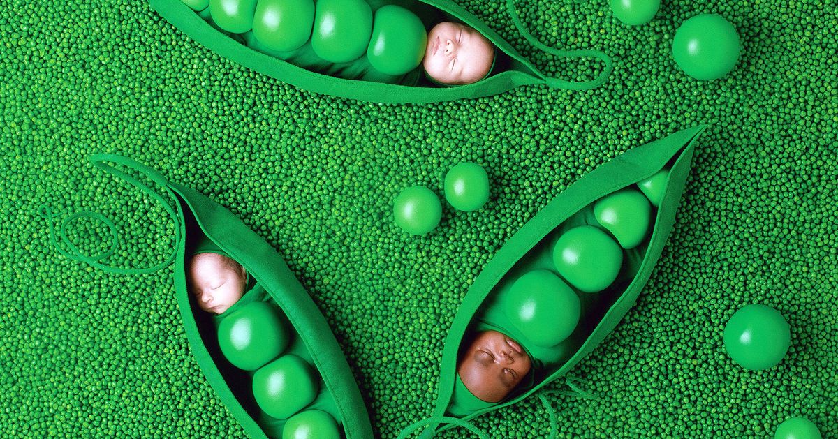 Photos: Small World by Anne Geddes