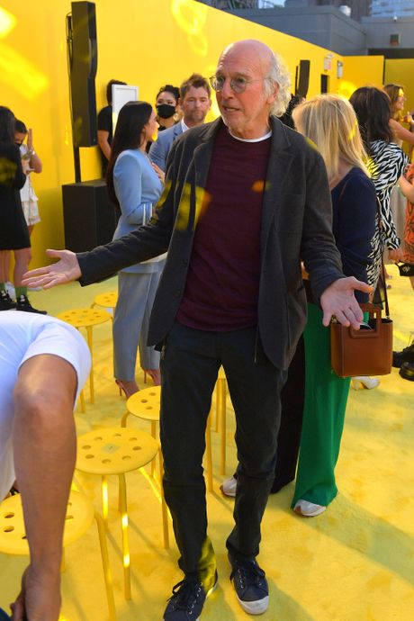 Why Was Larry David Front Row At New York Fashion Week?