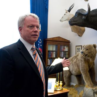 Rep. Paul C. Broun, R-GA., talks about some of the many game animals he has killed and mounted. Broun says he eats everything he kills and each animal in his office was a meal during the hunt. The office is in Cannon House Office Building in Washington, D.C. 02-23-10 (CQ Roll Call via AP Images)