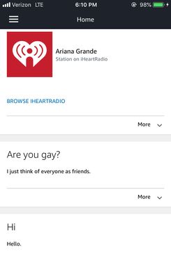 A screenshot of the chat log between the author and her Alexa device.
