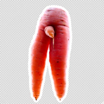 Premium Photo  Unusual carrot shape as a sexy female legs on wood surface  upstanding with green leaves