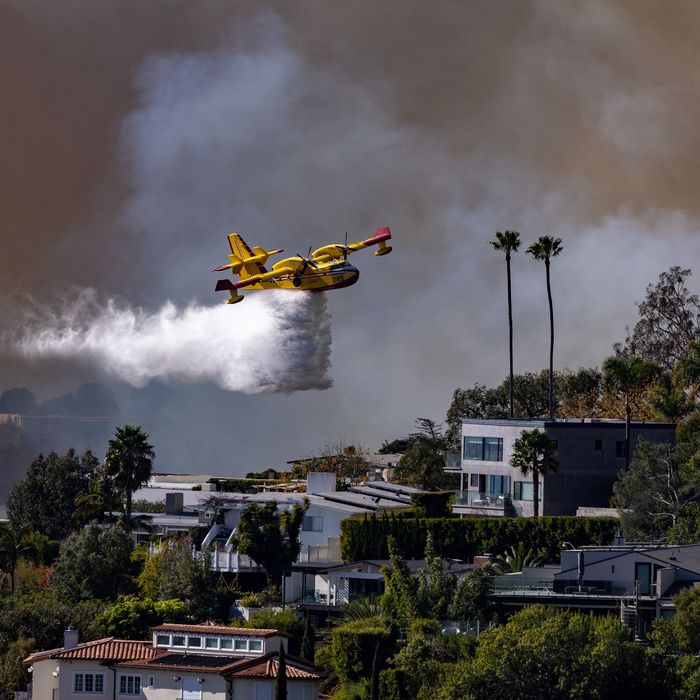 fire in palisades