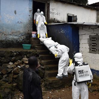Medical staff members of the Croix Rouge NGO remove the corpse of a victim of Ebola, from a house in Monrovia, on September 29, 2014. Of the four west African nations affected by the Ebola outbreak, Liberia has been hit the hardest, with 3,458 people infected -- more than half of the total number of cases. Of those, 1,830 have died, according to a WHO count released on September 27. 