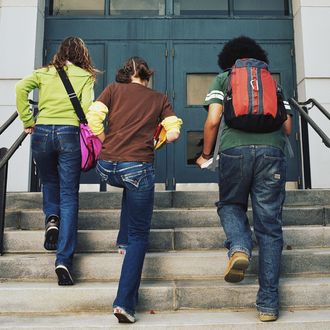 Two teenage girls and teenage boy (14-16) walking up school steps, rear view