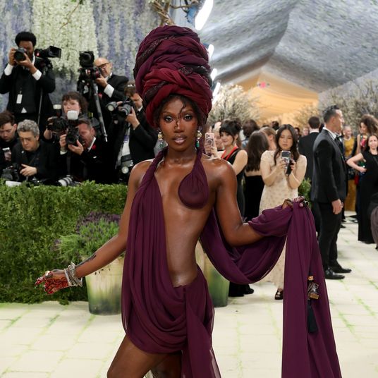 The 2026 Met Gala Celebrating 