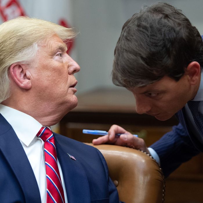 hogan gidley wig