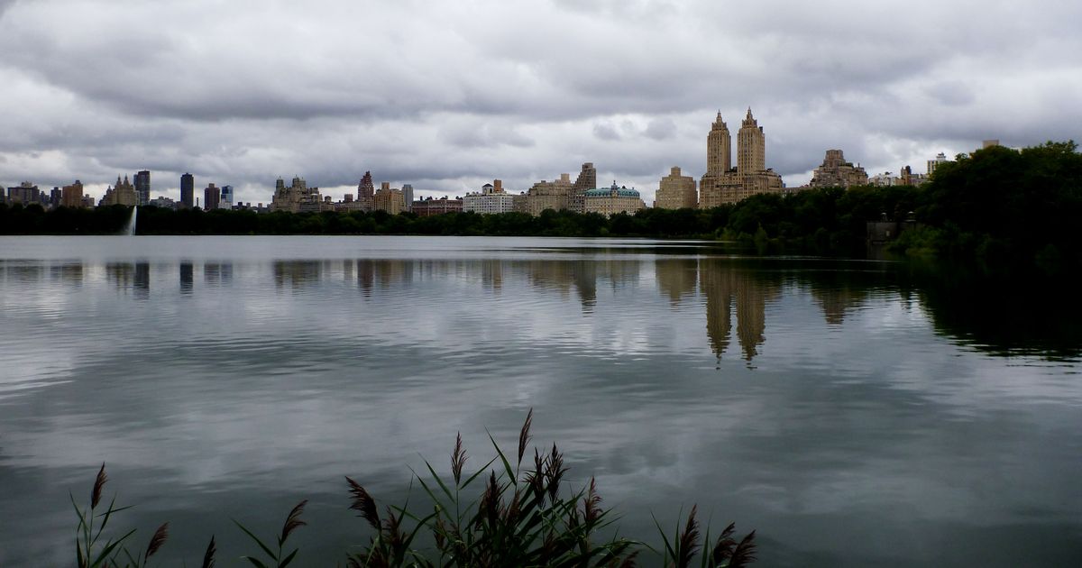 More Bodies Found In Central Park The Investigation Continues - 0s8ybyk