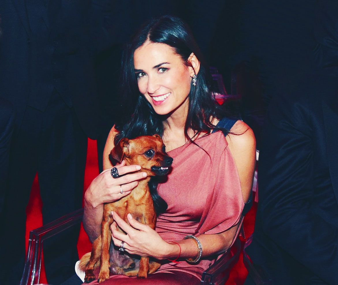 Demi Moore's Dog is a Fashion Week Fixture and More Celebrity Photos from  Milan