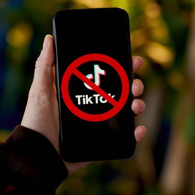 US TikTok Ban Moves to Senate Bill Biden Team Can Support