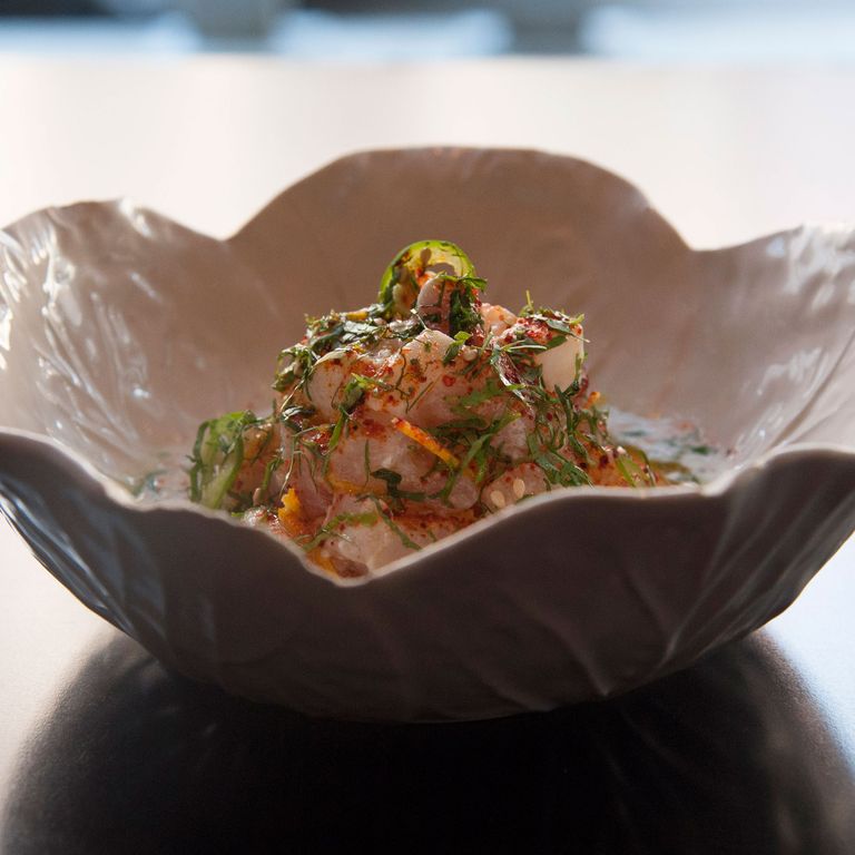 红鲷鱼特级:生红鲷鱼，椰奶，卡菲莱姆肉汤，发酵塞拉诺辣椒和贝纳种子。