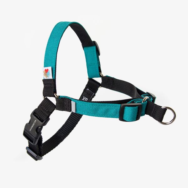 step in harness clip in front