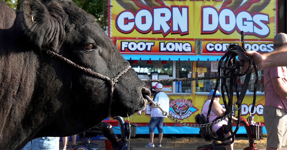 Trump Promises Iowa a Yearlong ‘Great American State Fair’