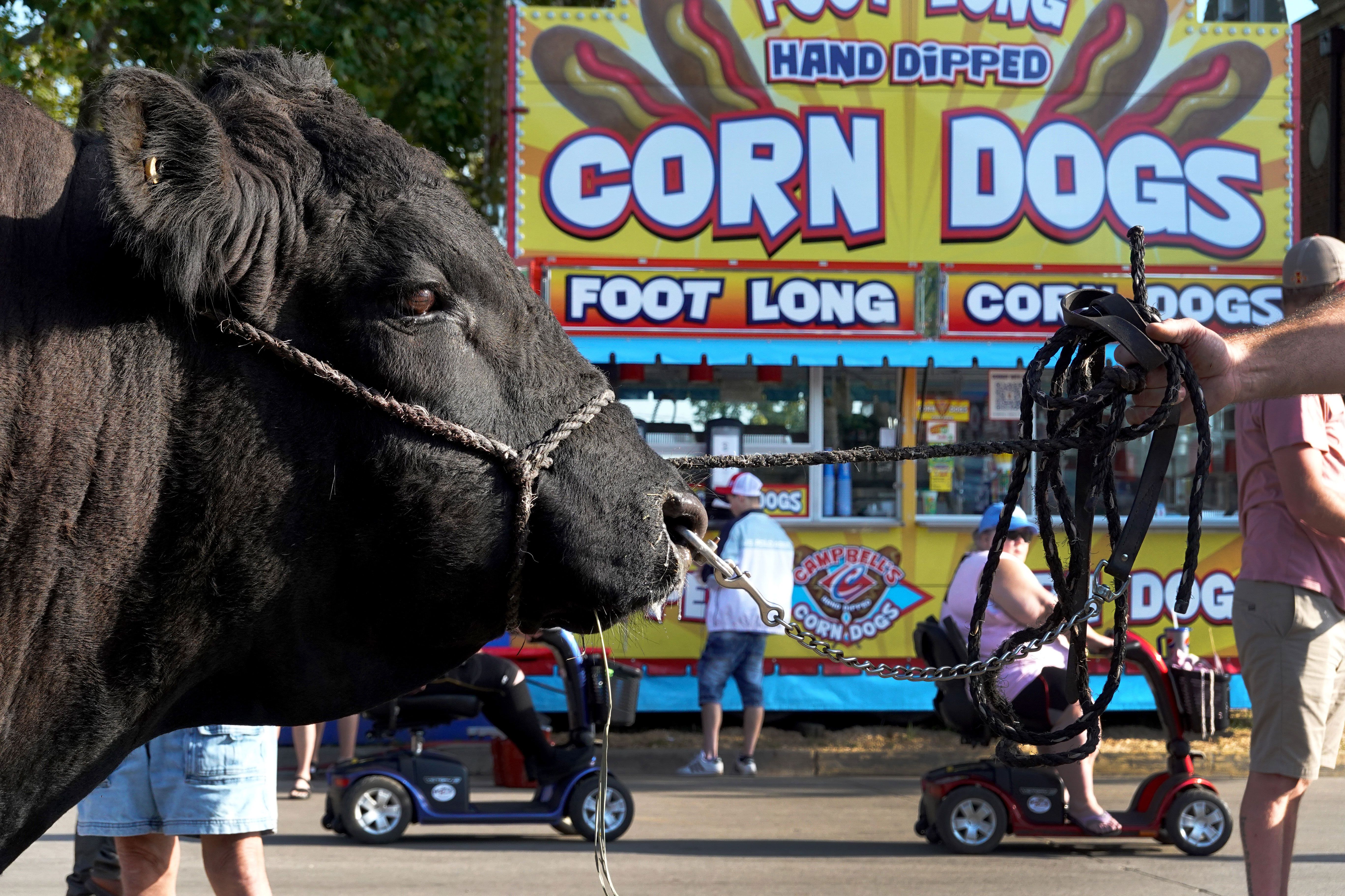 Trump Promises Iowa a Yearlong 'Great American State Fair'
