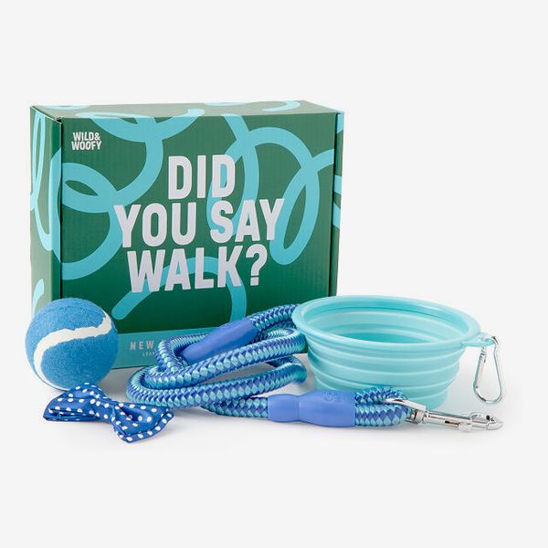 New Dog Starter Kit