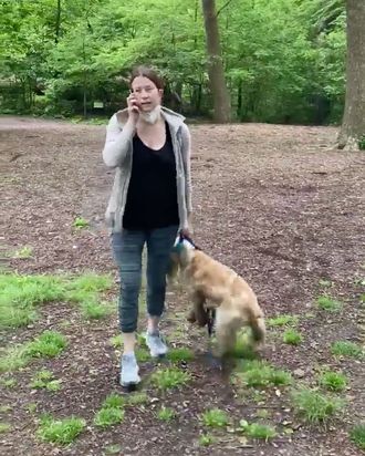 Amy's 2024 dog walking