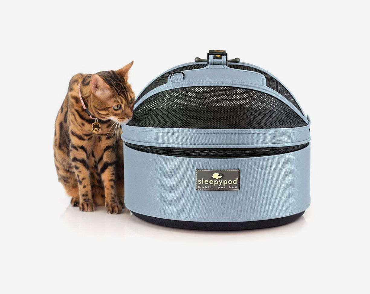 6 Best Cat Carriers for Large Cats in 2024 – tuft + paw