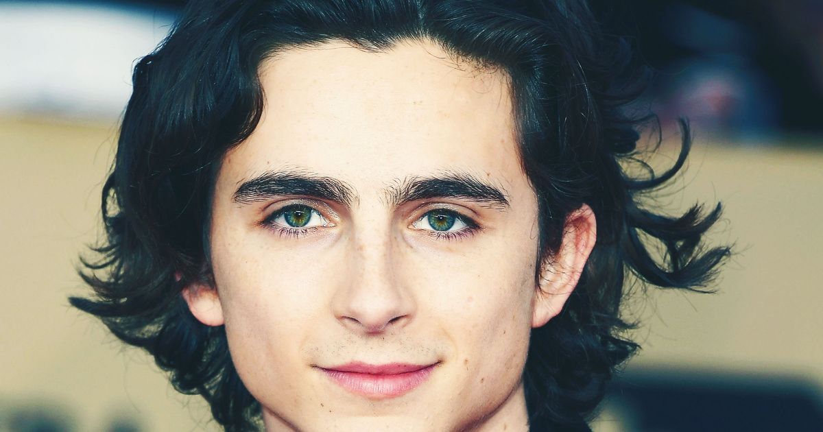 This Is How You Get Hair to Look Like Timothée Chalamet's