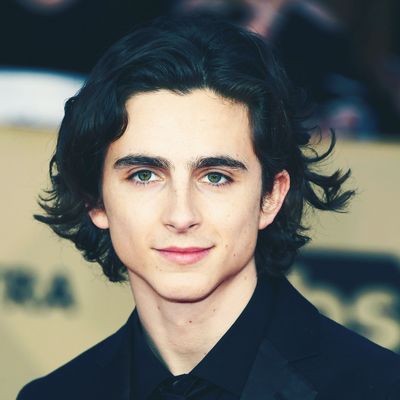 How to get Timothée Chalamet's tousled sex hair