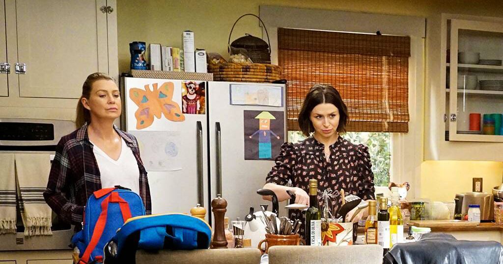 What Are the Best OvertheFridge Organizing Options? The Strategist