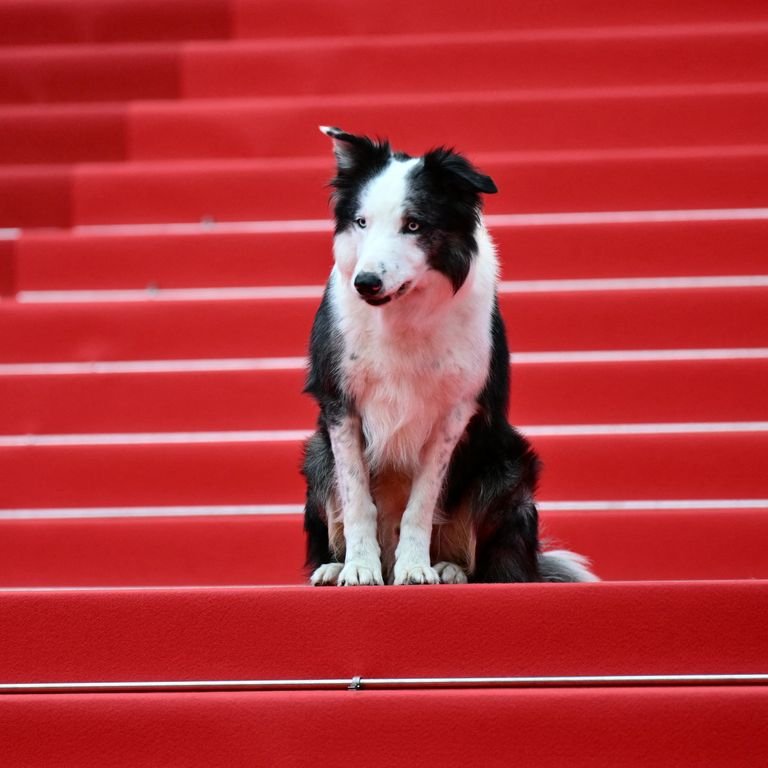 FRANCE-FILM-FESTIVAL-CANNES