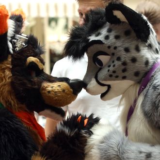 BERLIN, GERMANY - AUGUST 22: Furry enthusiasts greet one another at the Eurofurence 2014 conference on August 22, 2014 in Berlin, Germany. Furry fandom, a term used in zines as early as 1983 and also known as furrydom, furridom, fur fandom or furdom, refers to a subculture whose followers express an interest in anthropomorphic, or half-human, half-animal, creatures in literature, cartoons, pop culture, or other artistic contexts. Many but not all of the followers of the movement wear furry animal costumes. The earliest citation of anthropomorphic literature regularly cited by furry fans is Aesop's Fables, dating to around 500 BC. (Photo by Adam Berry/Getty Images)