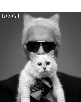 Karl and Choupette, shot by Lagerfeld himself.